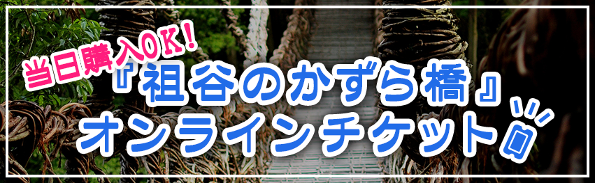 当日購入OK！「祖谷のかずら橋」オンラインチケットのご案内