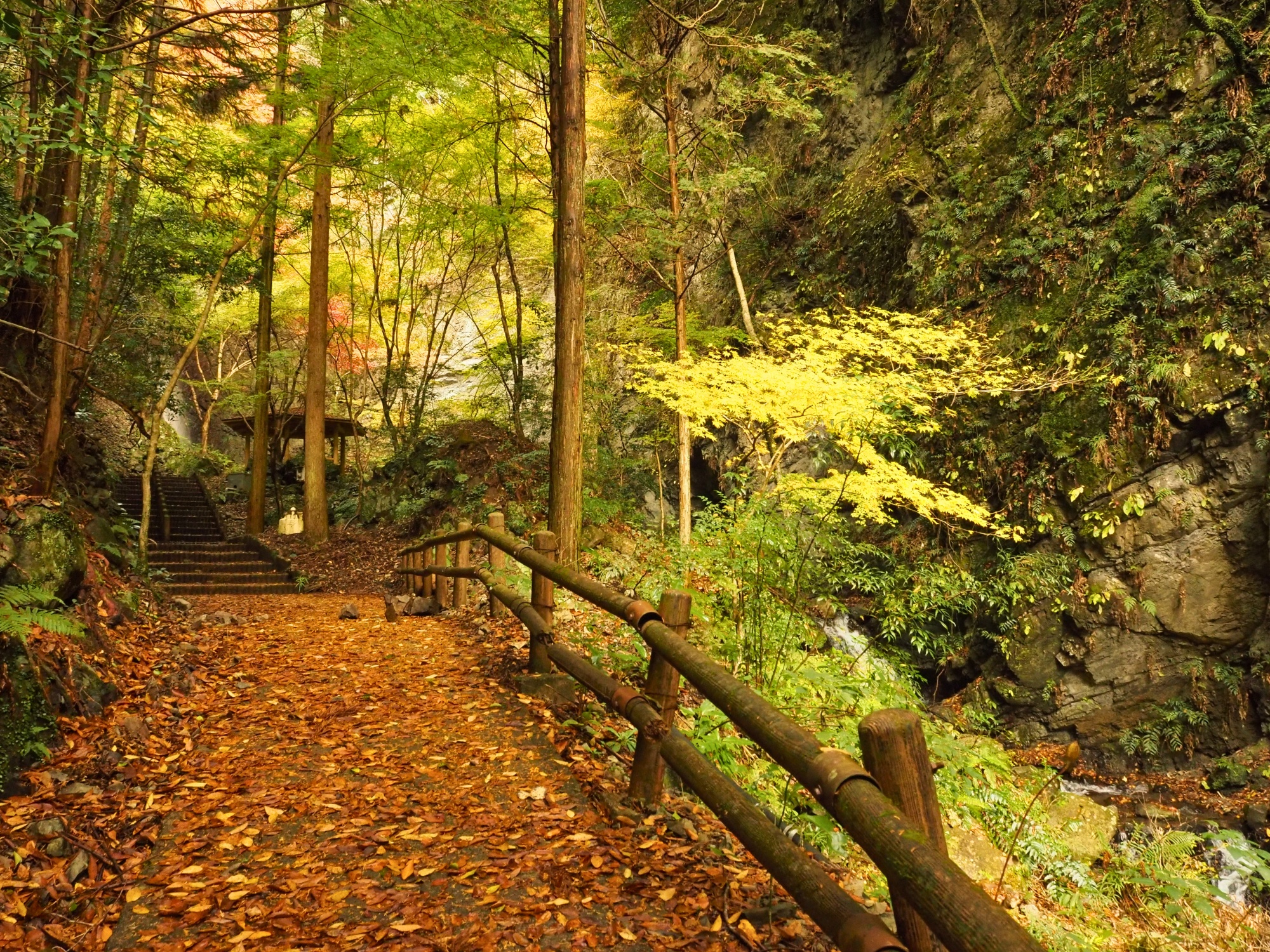 金剛の滝・龍頭の滝 | 大歩危祖谷ナビ＜三好市公式観光サイト＞
