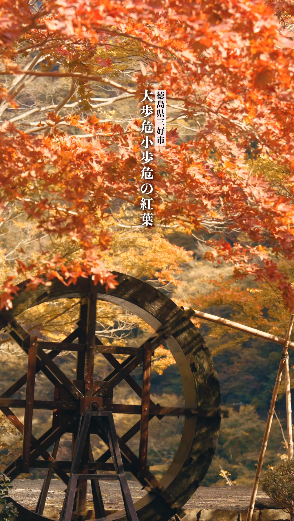 木彫りお重21   紅葉 木彫りお重21 紅葉