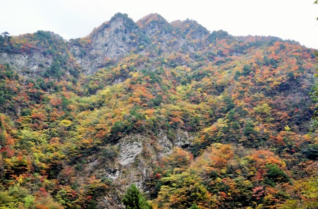 Mt. Ryugatakeの画像1