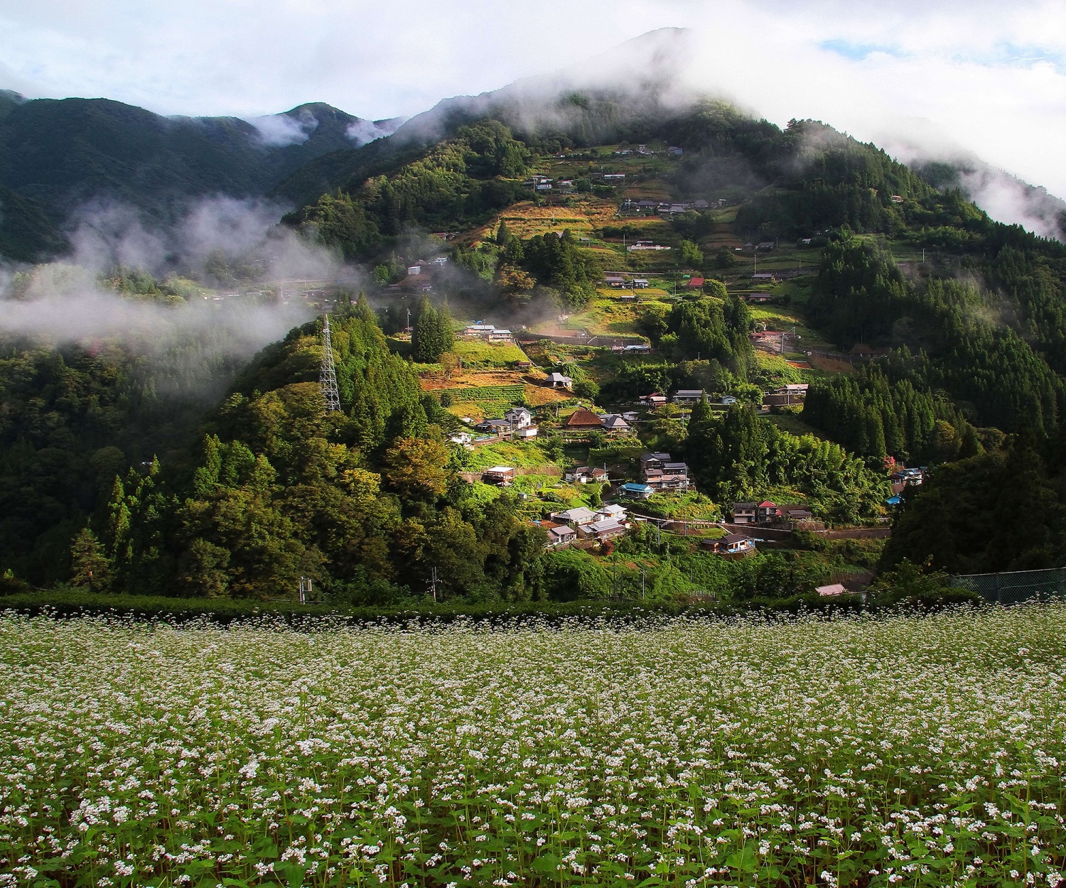 Ochiai Villageの画像2