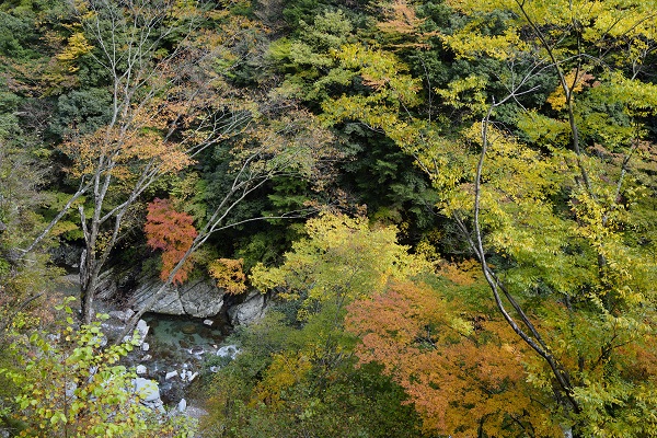 Mt. Ryugatakeの画像2