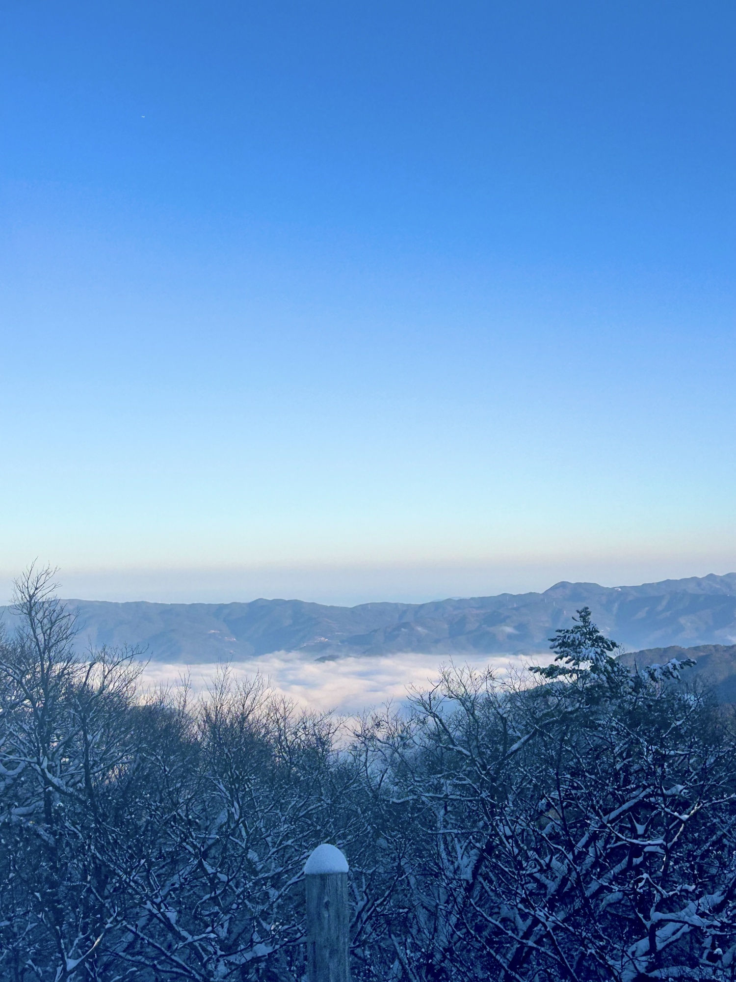 井川スキー場腕山の画像 8