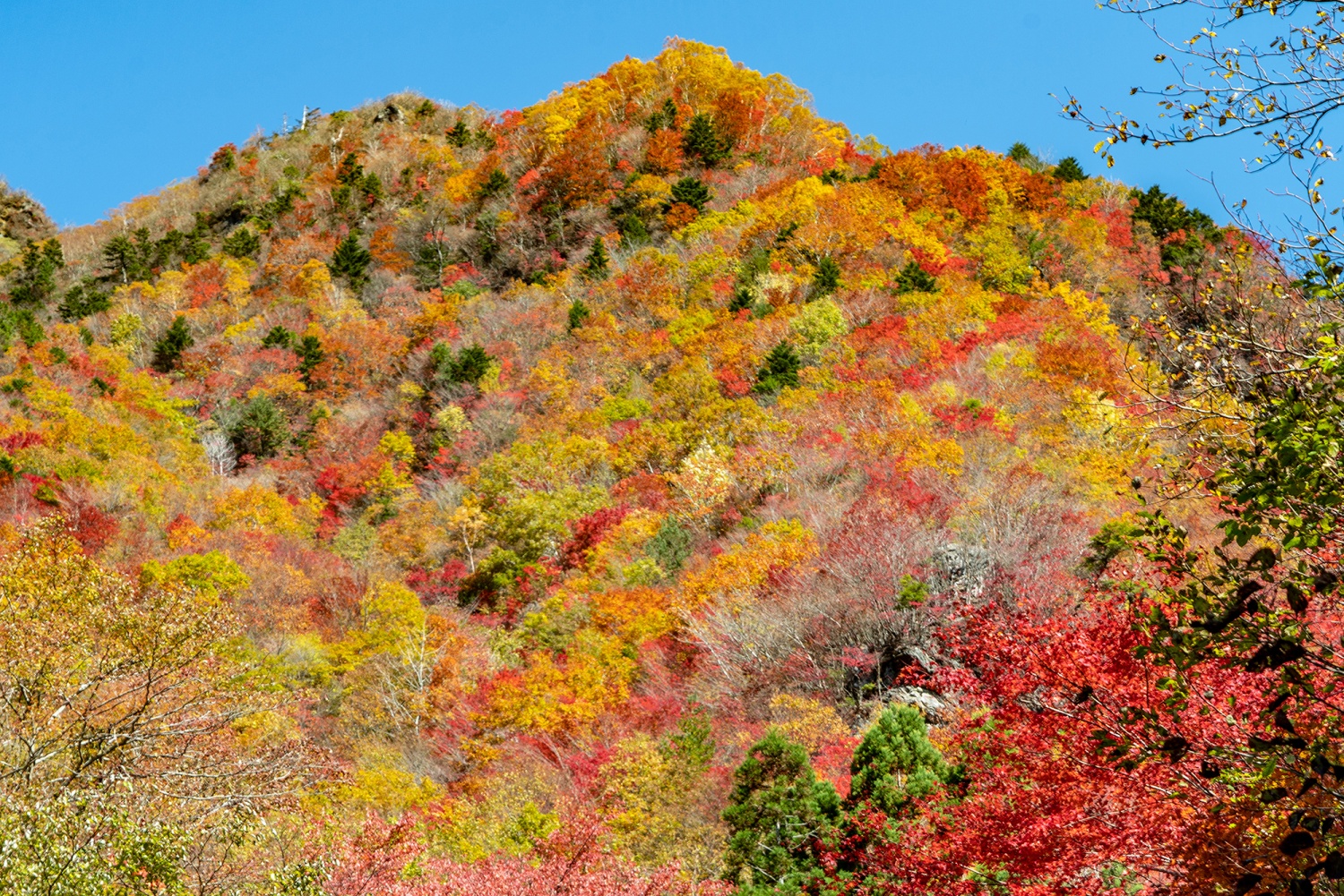 Mt. Ryugatakeの画像0