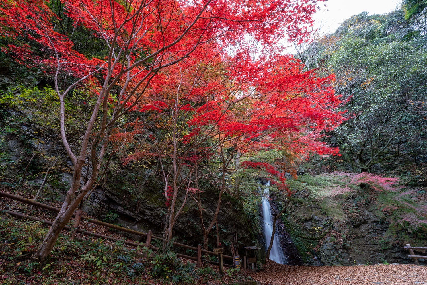 Kongou-no-Taki (Kongou Waterfall)/Ryudou-no-Taki (Ryudou Waterfall)の画像4