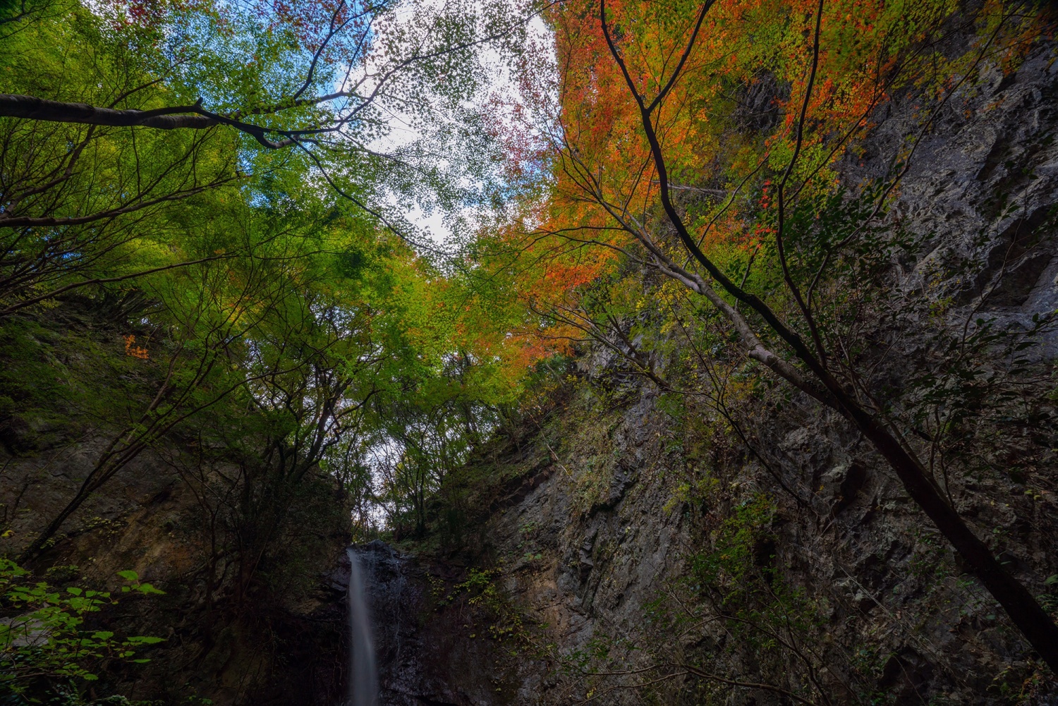 Kongou-no-Taki (Kongou Waterfall)/Ryudou-no-Taki (Ryudou Waterfall)の画像2