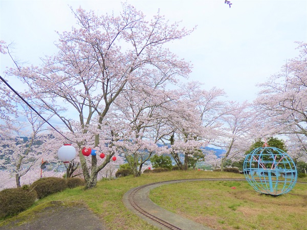 사쿠라가오카 공원の画像1