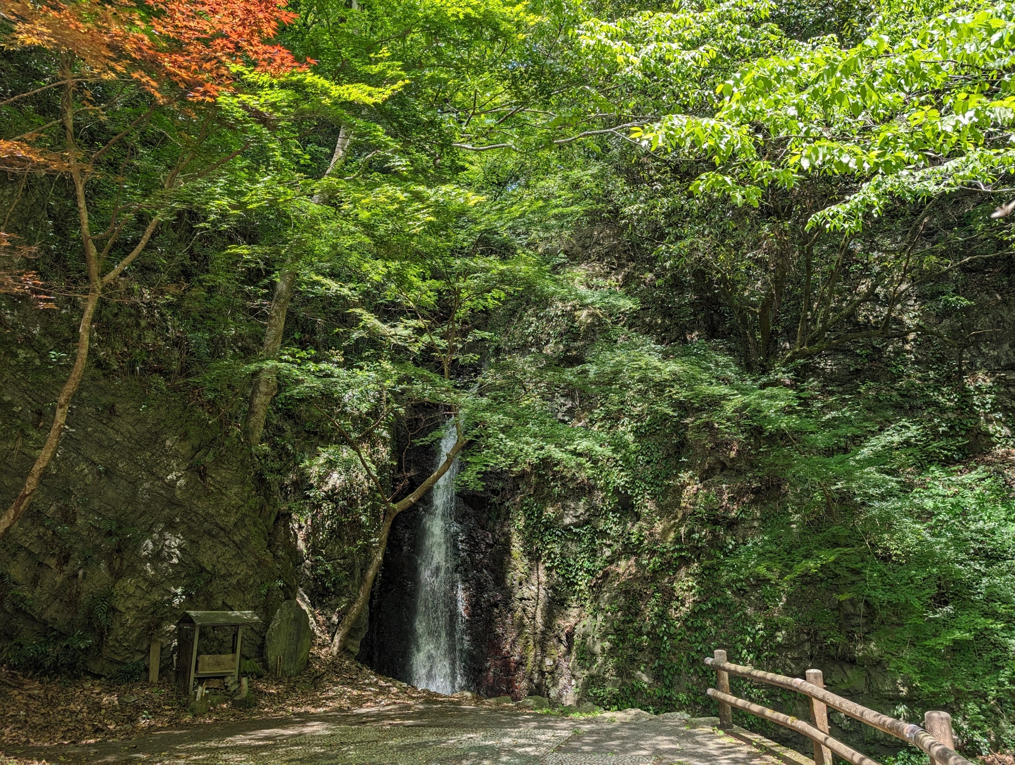 金剛の滝・龍頭の滝 | 大歩危祖谷ナビ＜三好市公式観光サイト＞