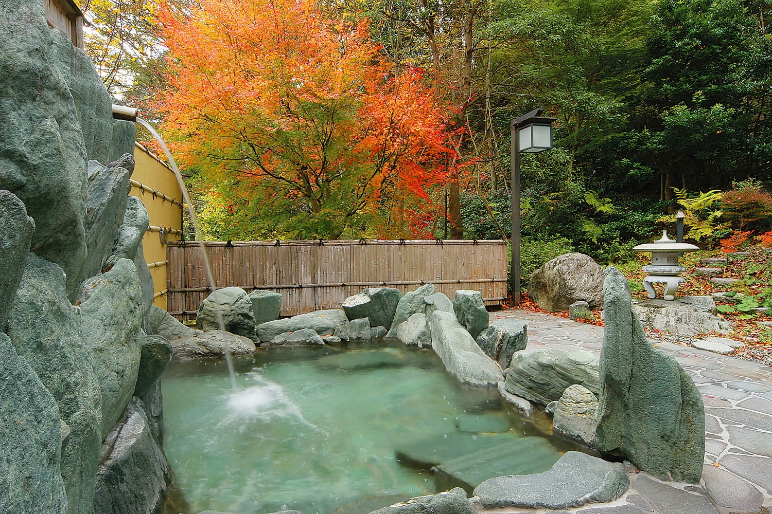 祖谷渓温泉 ホテル秘境の湯の画像1