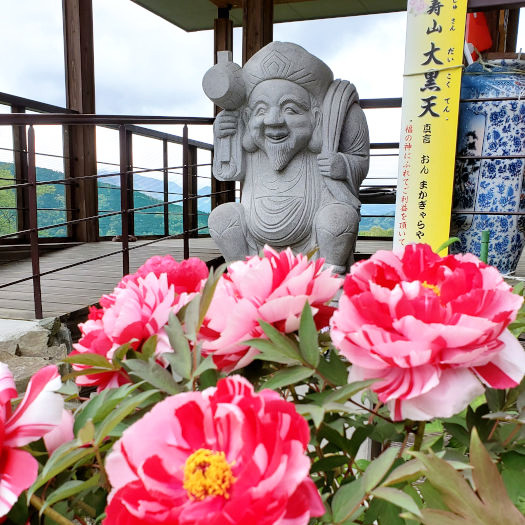 密厳寺の牡丹 | 大歩危祖谷ナビ＜三好市公式観光サイト＞