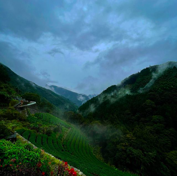 43c9df6908b60a88cdf702ba56aaed