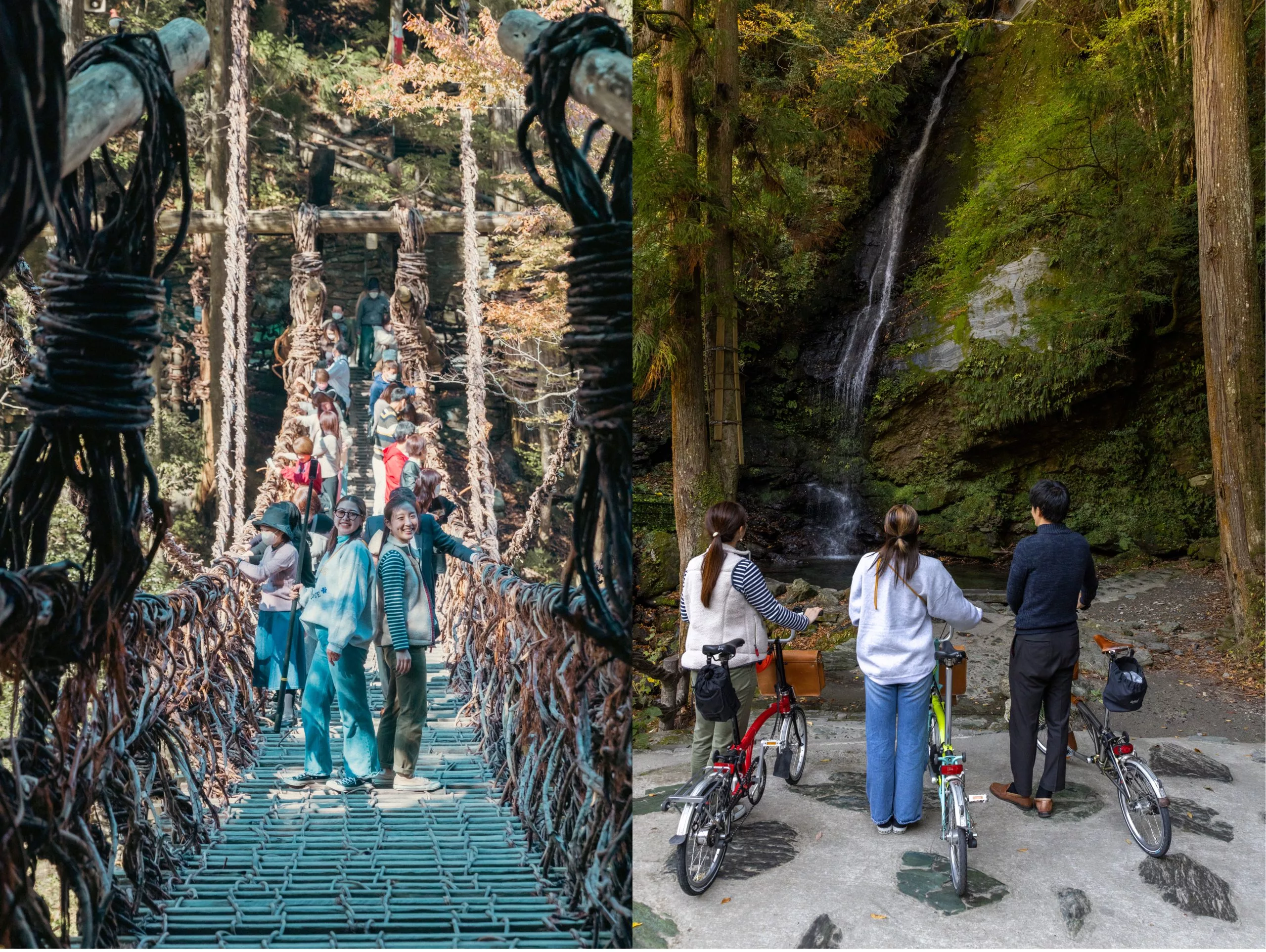 絶景紅葉の真っ只中へ。祖谷渓ポタリングツアー【ブロンプトン