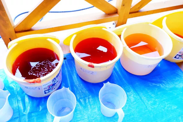 井川町辻の「茜の杜」茜染め | 大歩危祖谷ナビ＜三好市公式観光サイト＞