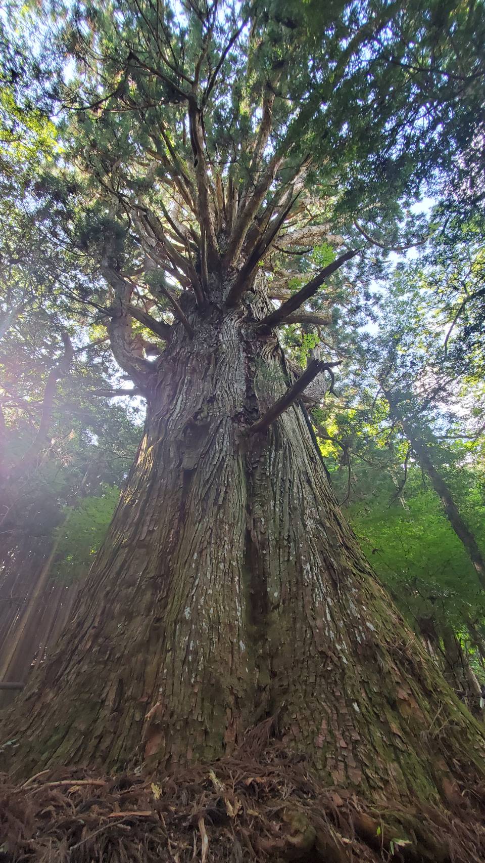 武家屋敷 旧喜多家 | 大歩危祖谷ナビ＜三好市公式観光サイト＞