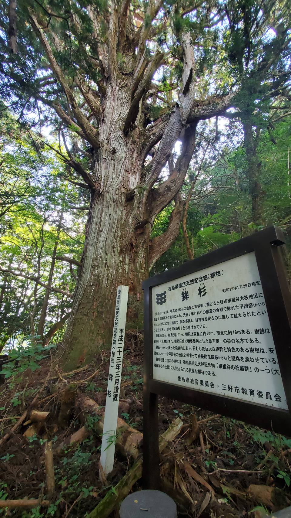 武家屋敷 旧喜多家 | 大歩危祖谷ナビ＜三好市公式観光サイト＞