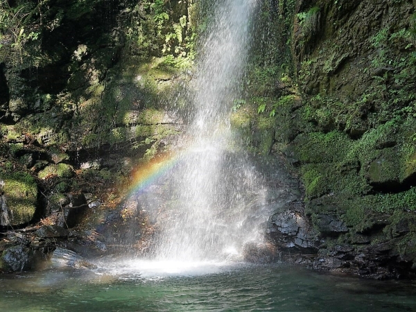 Biwa-no-taki (Biwa Waterfall)の画像 4