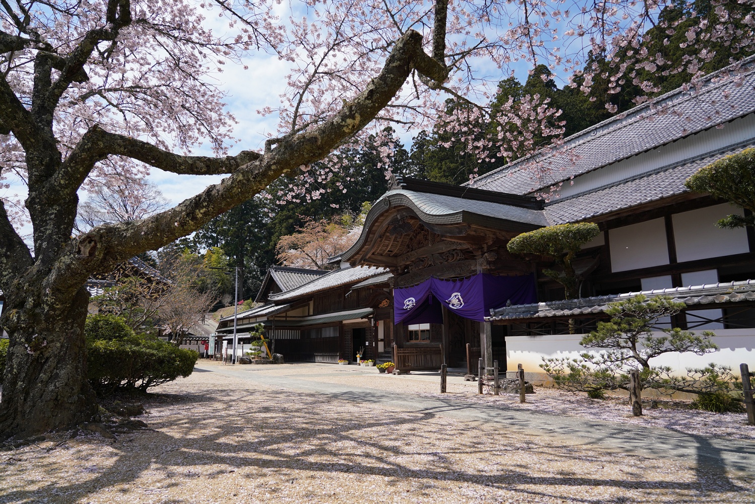 Hashikura Templeの画像1