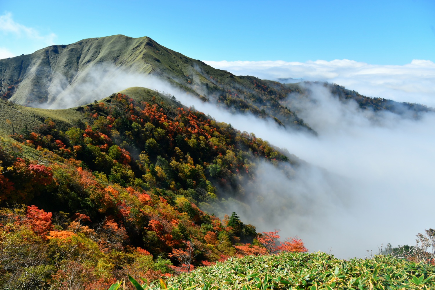 Mt. Tsurugiの画像4