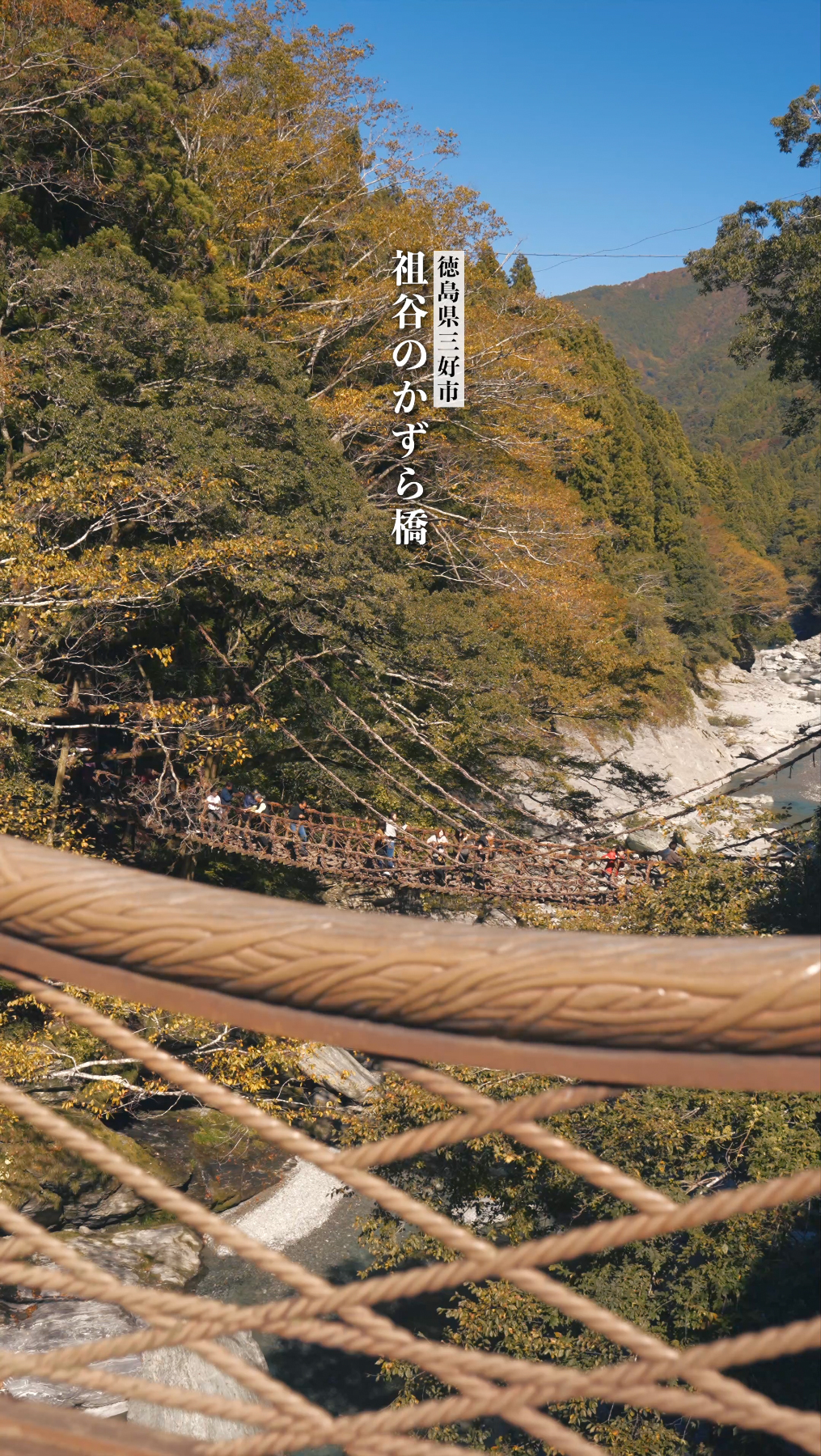 祖谷のかずら橋 | 大歩危祖谷ナビ＜三好市公式観光サイト＞