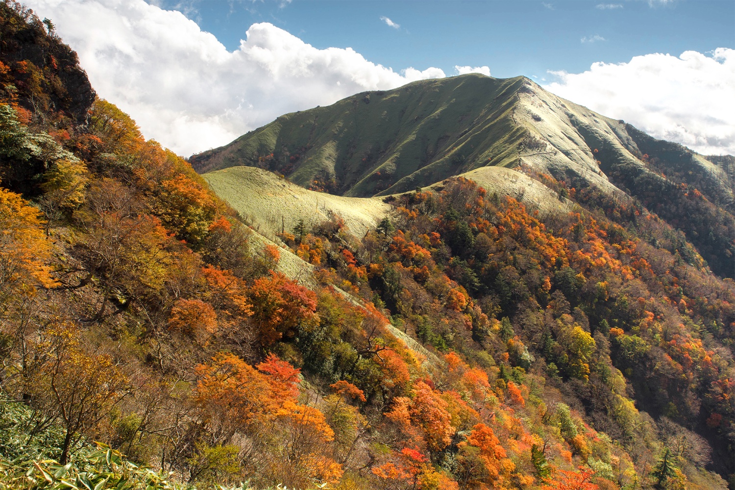 Mt. Tsurugiの画像3