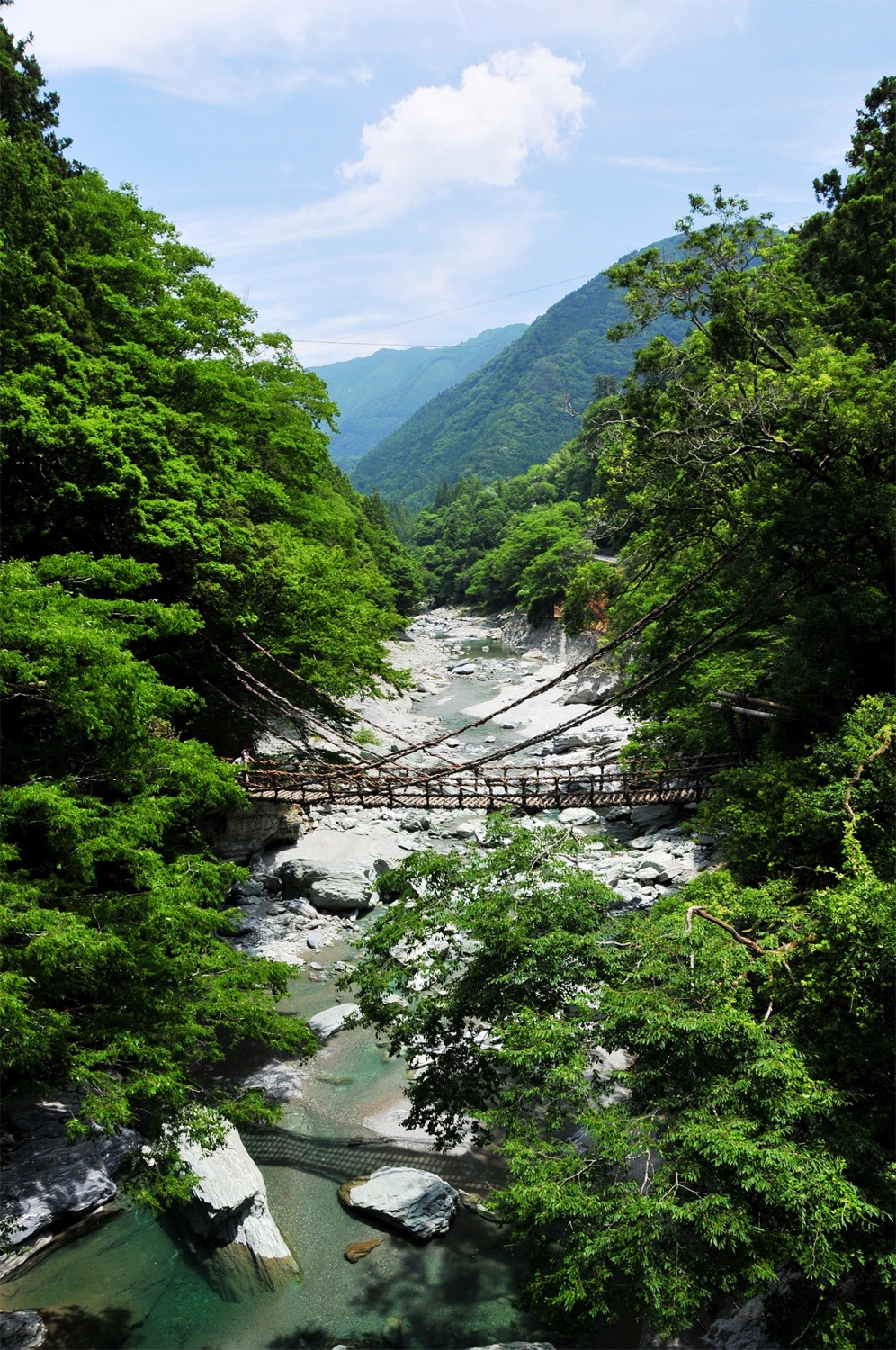 Iya-no-Kazurabashi (Suspension Bridge Made with Vines)の画像2