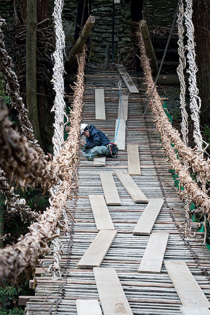 祖谷のかずら橋架け替えのお知らせ | 大歩危祖谷ナビ＜三好市公式観光