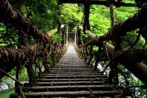 8月29日(木)〜31日(土)「祖谷のかずら橋・奥祖谷二重かずら橋」休業のお知らせ | 大歩危祖谷ナビ＜三好市公式観光サイト＞