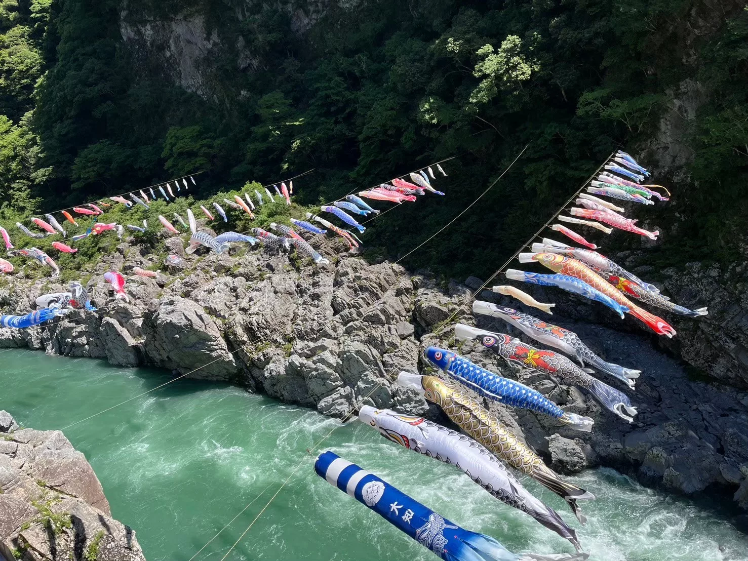 電動アシスト自転車で巡る絶景旅！大歩危・小歩危4時間サイクリング