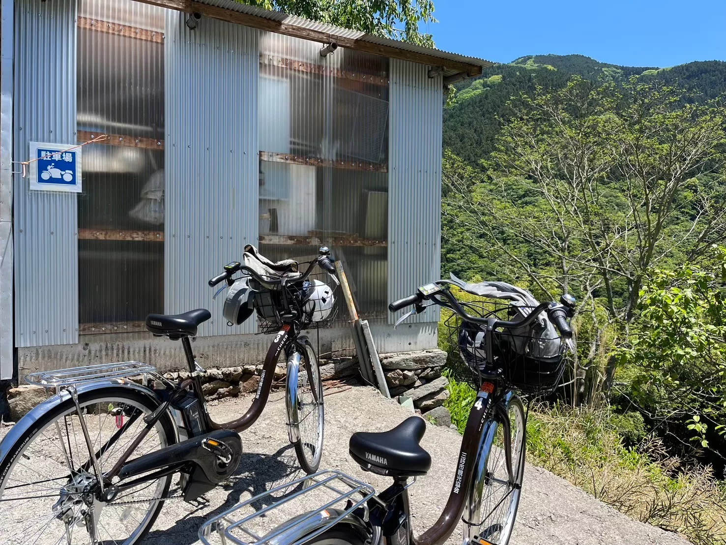 電動アシスト自転車で巡る絶景旅！大歩危・小歩危4時間