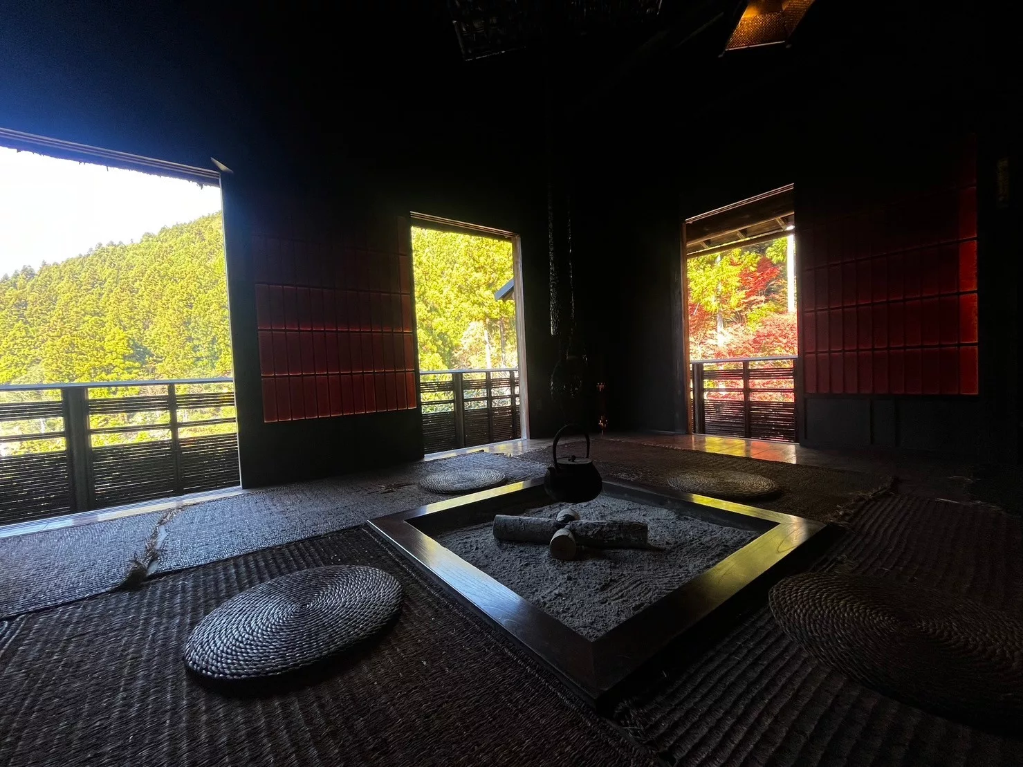 天空と渓谷が織りなす四季折々の絶景と温泉：大歩危祖谷温泉郷の温泉