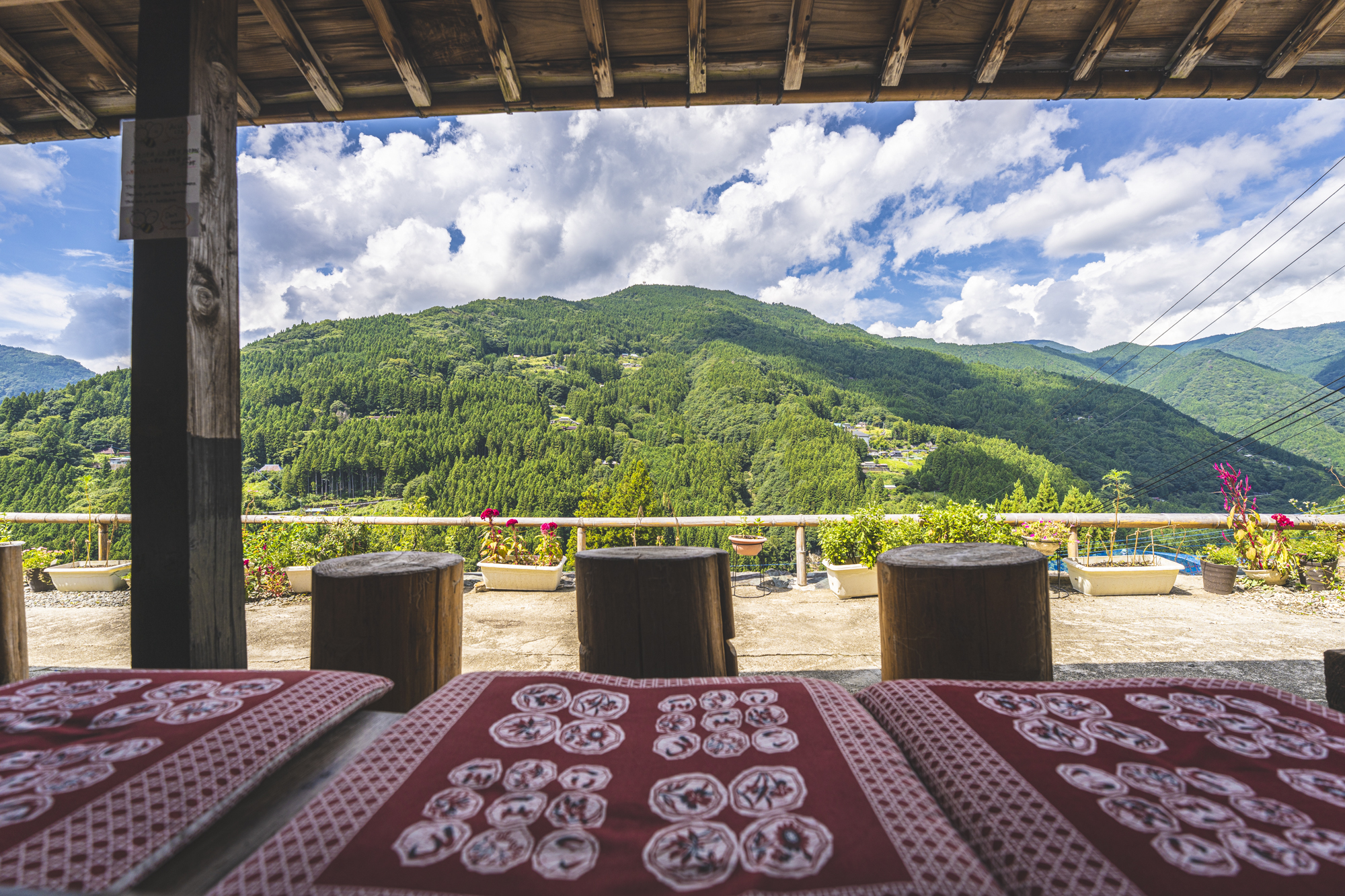 かずら橋ブルーベリー園＆古民家カフェ天空 | 大歩危祖谷ナビ＜三好市