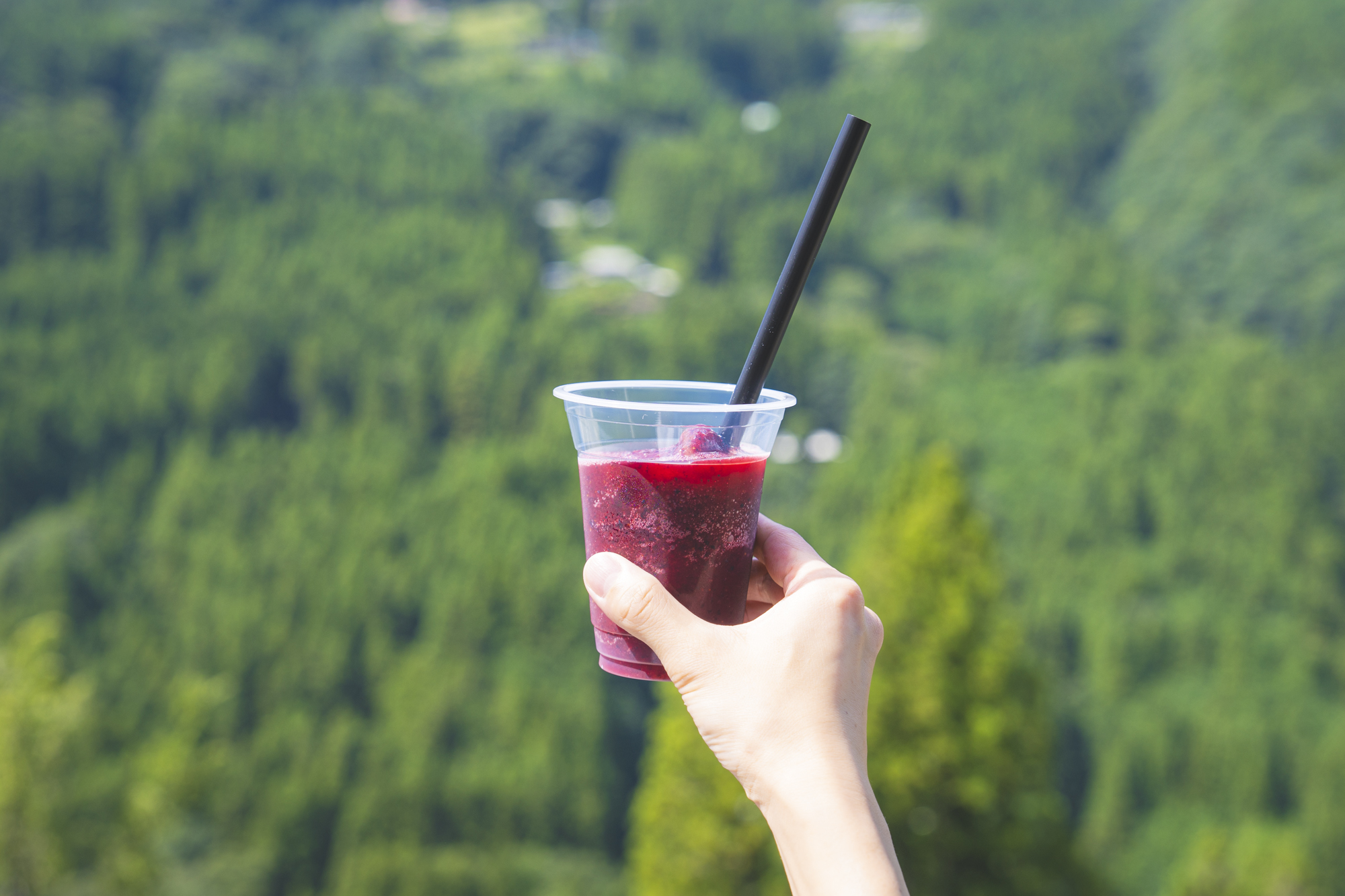 かずら橋ブルーベリー園＆古民家カフェ天空 | 大歩危祖谷ナビ＜三好市