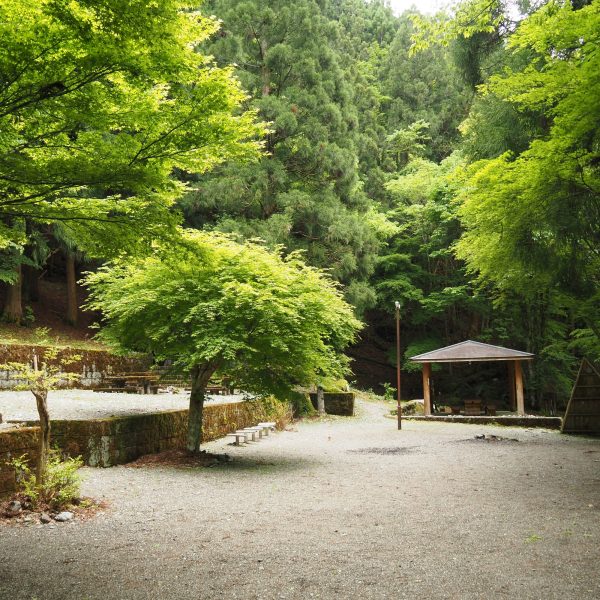 親身感受祕境魅力的蔓橋　　　　　　　【奧祖谷二重蔓橋‧野猿】