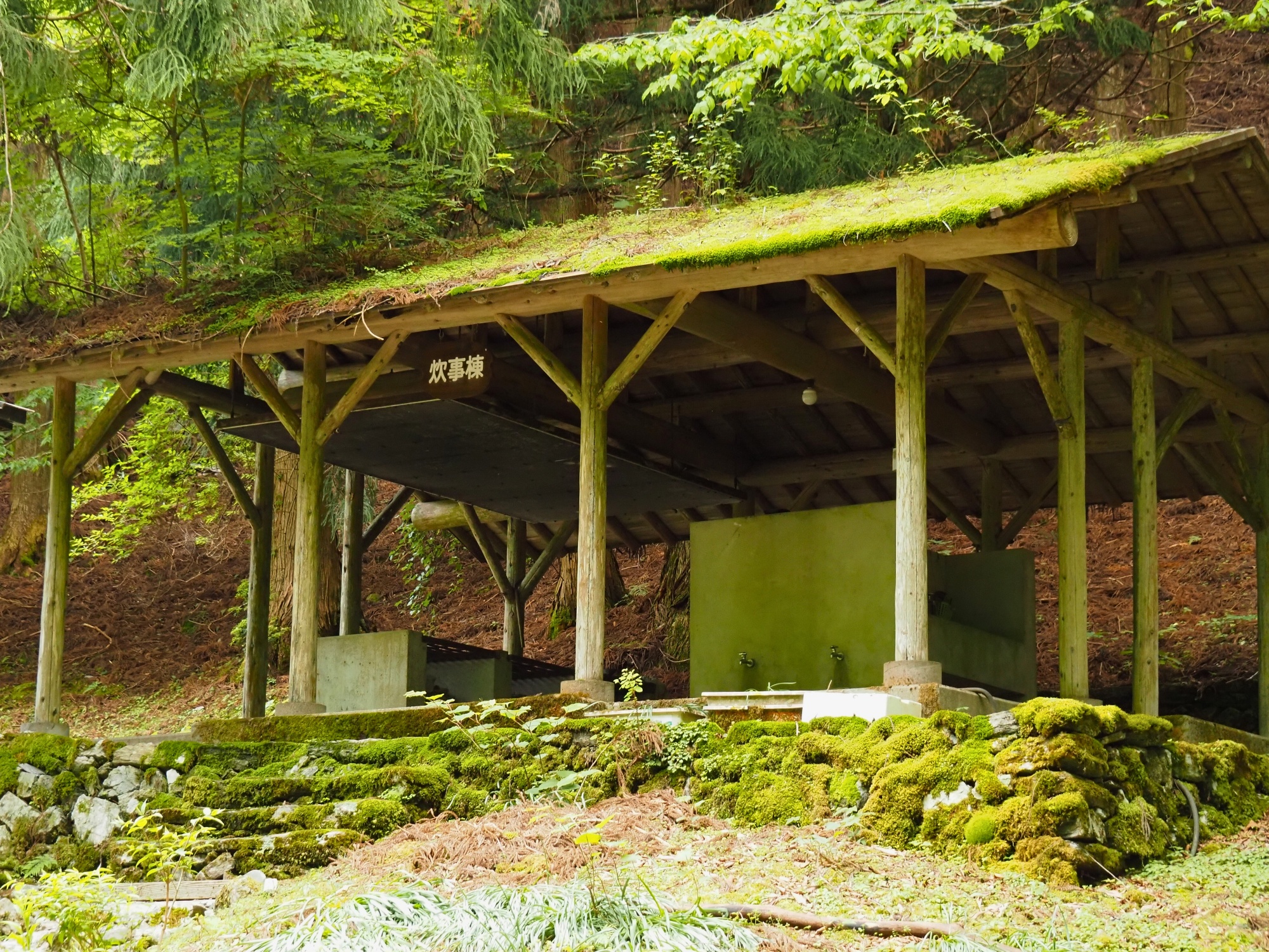 奥祖谷二重かずら橋 | 大歩危祖谷ナビ＜三好市公式観光サイト＞