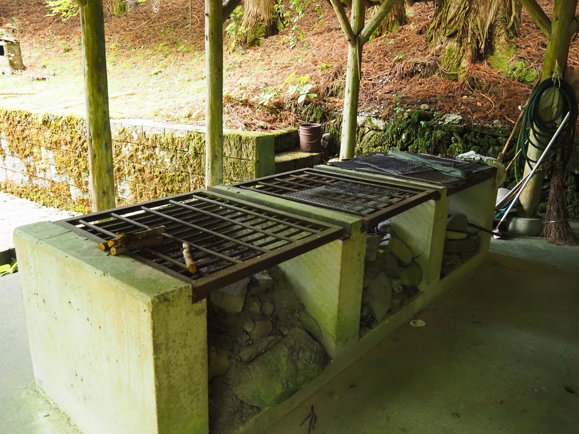 奥祖谷二重かずら橋 | 大歩危祖谷ナビ＜三好市公式観光サイト＞