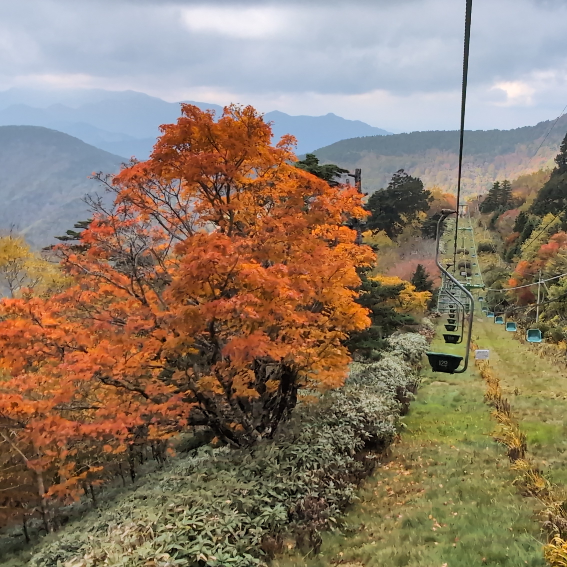 紅葉情報2025年10月27日】剣山 | 大歩危祖谷ナビ＜三好市公式観光サイト＞