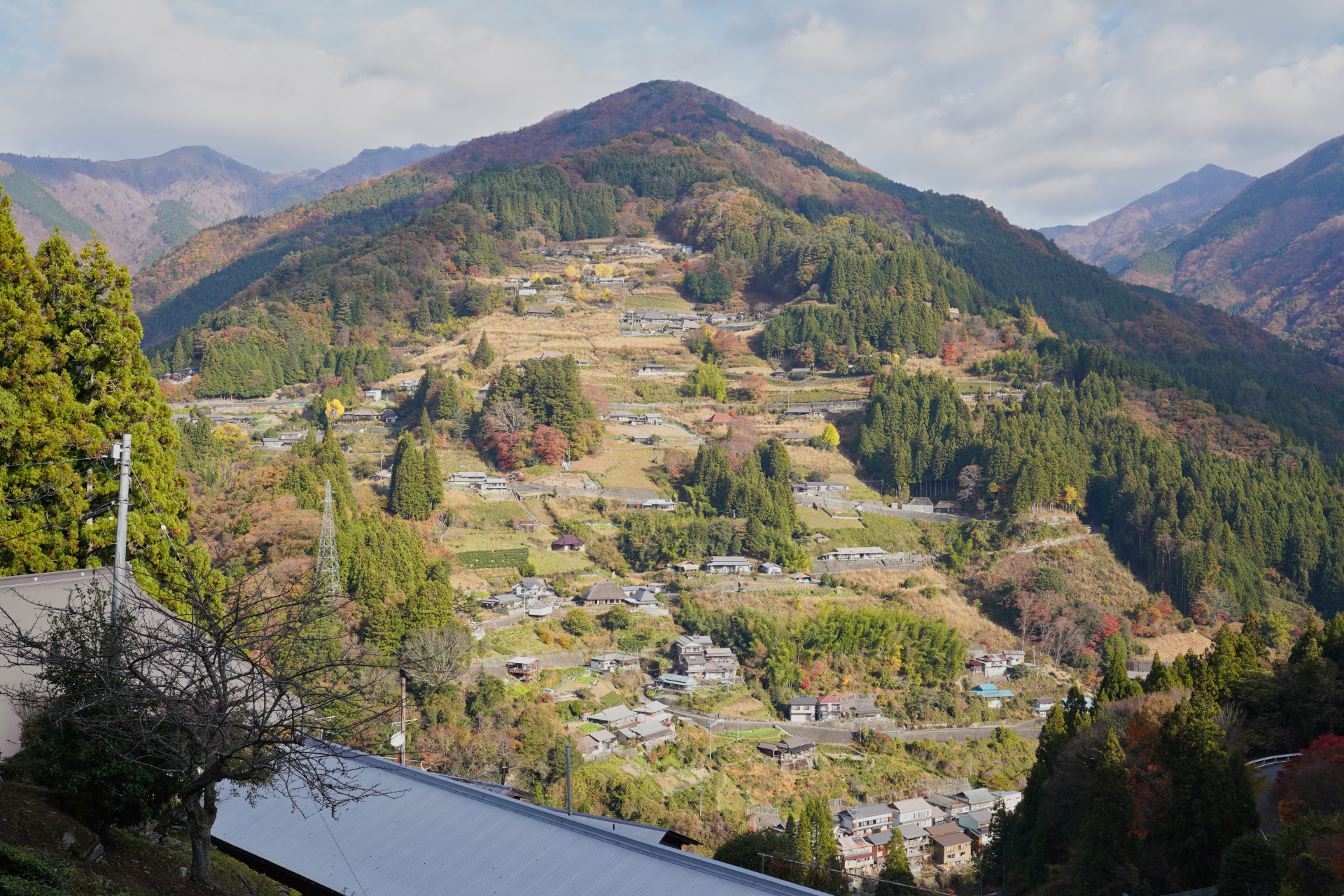 紅葉情報2025年11月21日】奥祖谷二重かずら橋・かかしの里・落合集落