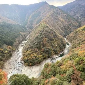 お知らせ | 大歩危祖谷ナビ＜三好市公式観光サイト＞